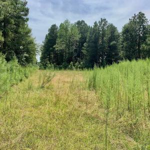 Photo #43 of SOLD property in 653 Jones White Road, Roper, NC 46.8 acres