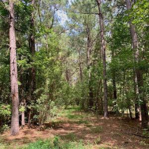 Photo #48 of SOLD property in 653 Jones White Road, Roper, NC 46.8 acres