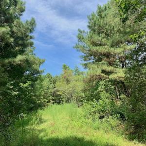Photo #50 of SOLD property in 653 Jones White Road, Roper, NC 46.8 acres