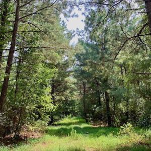Photo #52 of SOLD property in 653 Jones White Road, Roper, NC 46.8 acres