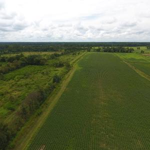 Photo #2 of SOLD property in Off Locklin Pocosin Road, Rose Hill, NC 63.0 acres