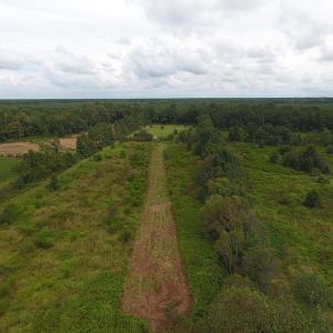 Photo #11 of SOLD property in Off Locklin Pocosin Road, Rose Hill, NC 63.0 acres