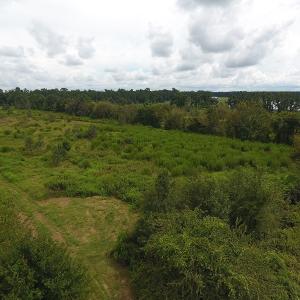 Photo #12 of SOLD property in Off Locklin Pocosin Road, Rose Hill, NC 63.0 acres