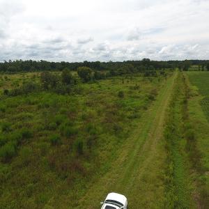 Photo #13 of SOLD property in Off Locklin Pocosin Road, Rose Hill, NC 63.0 acres