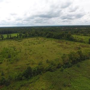 Photo #14 of SOLD property in Off Locklin Pocosin Road, Rose Hill, NC 63.0 acres