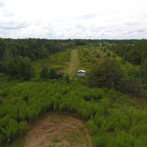 Photo #15 of SOLD property in Off Locklin Pocosin Road, Rose Hill, NC 63.0 acres