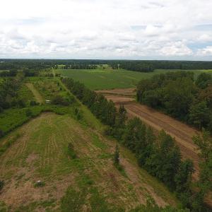 Photo #16 of SOLD property in Off Locklin Pocosin Road, Rose Hill, NC 63.0 acres