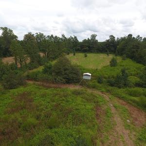 Photo #17 of SOLD property in Off Locklin Pocosin Road, Rose Hill, NC 63.0 acres