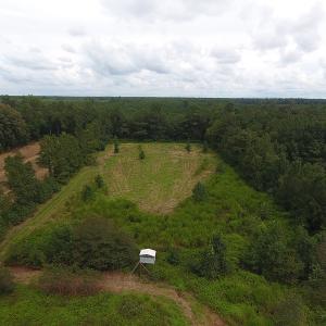 Photo #19 of SOLD property in Off Locklin Pocosin Road, Rose Hill, NC 63.0 acres