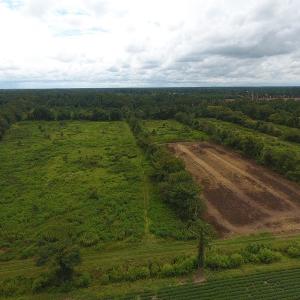 Photo #3 of SOLD property in Off Locklin Pocosin Road, Rose Hill, NC 63.0 acres