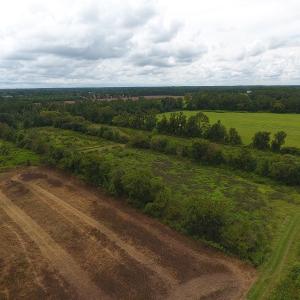 Photo #5 of SOLD property in Off Locklin Pocosin Road, Rose Hill, NC 63.0 acres