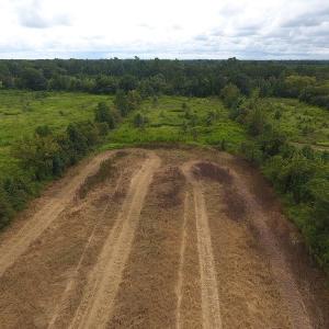 Photo #6 of SOLD property in Off Locklin Pocosin Road, Rose Hill, NC 63.0 acres