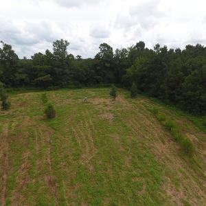 Photo #7 of SOLD property in Off Locklin Pocosin Road, Rose Hill, NC 63.0 acres
