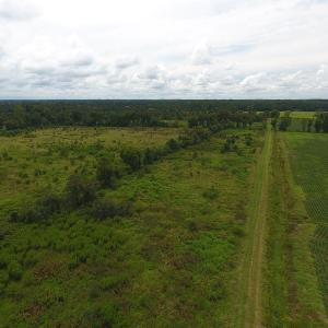 Photo #9 of SOLD property in Off Locklin Pocosin Road, Rose Hill, NC 63.0 acres