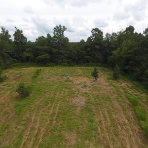 Photo #10 of SOLD property in Off Locklin Pocosin Road, Rose Hill, NC 63.0 acres