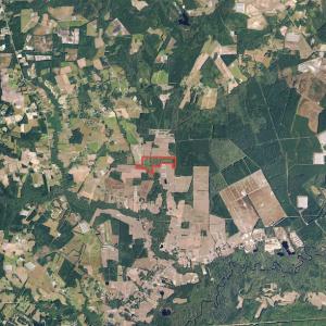 Photo #21 of SOLD property in Off Locklin Pocosin Road, Rose Hill, NC 63.0 acres