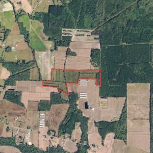 Photo #1 of SOLD property in Off Locklin Pocosin Road, Rose Hill, NC 63.0 acres