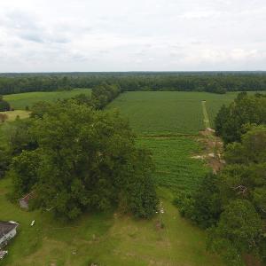 Photo #2 of SOLD property in 15535 Seven Creeks Hwy, Tabor City, NC 13.0 acres