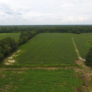 Photo #11 of SOLD property in 15535 Seven Creeks Hwy, Tabor City, NC 13.0 acres