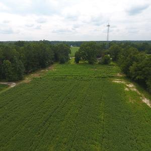 Photo #3 of SOLD property in 15535 Seven Creeks Hwy, Tabor City, NC 13.0 acres