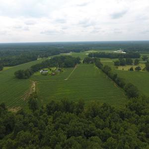 Photo #5 of 15535 Seven Creeks Hwy, Tabor City, NC 13.0 acres