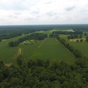 Photo #5 of SOLD property in 15535 Seven Creeks Hwy, Tabor City, NC 13.0 acres