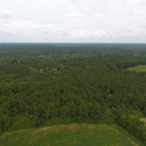 Photo #7 of 15535 Seven Creeks Hwy, Tabor City, NC 13.0 acres