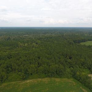 Photo #7 of SOLD property in 15535 Seven Creeks Hwy, Tabor City, NC 13.0 acres