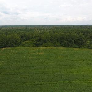 Photo #8 of SOLD property in 15535 Seven Creeks Hwy, Tabor City, NC 13.0 acres