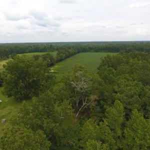 Photo #10 of SOLD property in 15535 Seven Creeks Hwy, Tabor City, NC 13.0 acres