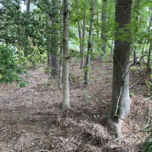 Photo #5 of SOLD property in Off Wade Stephenson Road, Holly Springs, NC 0.6 acres