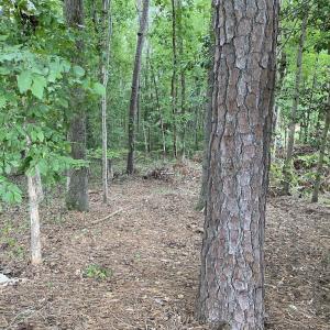 Photo #6 of SOLD property in Off Wade Stephenson Road, Holly Springs, NC 0.6 acres