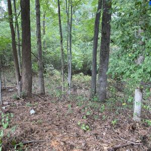 Photo #7 of Off Wade Stephenson Road, Holly Springs, NC 0.6 acres