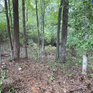 Photo #7 of SOLD property in Off Wade Stephenson Road, Holly Springs, NC 0.6 acres