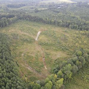 Photo #8 of SOLD property in Off Rowe Road, Warrenton, NC 10.0 acres