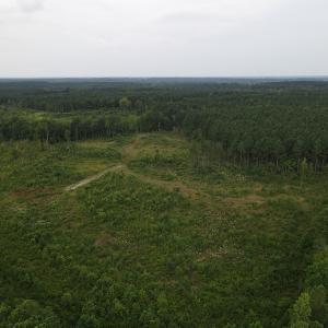 Photo #2 of SOLD property in Off Rowe Road, Warrenton, NC 10.0 acres