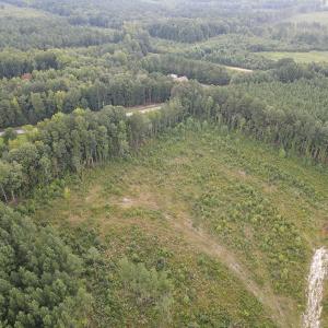 Photo #3 of SOLD property in Off Rowe Road, Warrenton, NC 10.0 acres