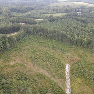 Photo #4 of SOLD property in Off Rowe Road, Warrenton, NC 10.0 acres