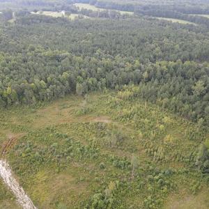 Photo #5 of SOLD property in Off Rowe Road, Warrenton, NC 10.0 acres