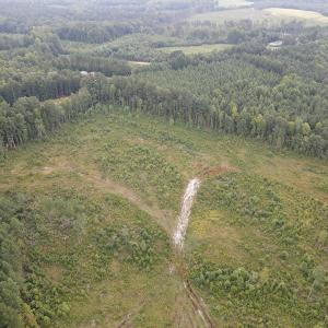 Photo #6 of SOLD property in Off Rowe Road, Warrenton, NC 10.0 acres