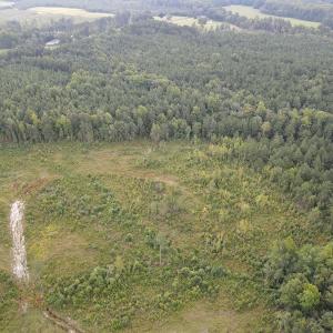 Photo #7 of SOLD property in Off Rowe Road, Warrenton, NC 10.0 acres