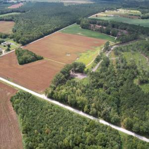 Photo #3 of Off Joyners Bridge Road, Carrsville, VA 71.6 acres