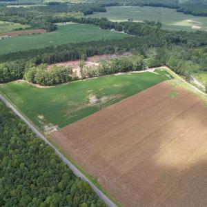 Photo #7 of Off Joyners Bridge Road, Carrsville, VA 71.6 acres