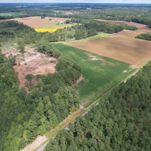 Photo #9 of Off Joyners Bridge Road, Carrsville, VA 71.6 acres