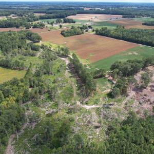 Photo #10 of Off Joyners Bridge Road, Carrsville, VA 71.6 acres