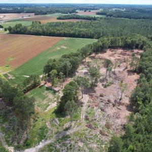 Photo #11 of Off Joyners Bridge Road, Carrsville, VA 71.6 acres