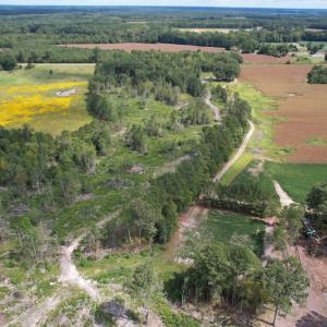 Photo #12 of Off Joyners Bridge Road, Carrsville, VA 71.6 acres