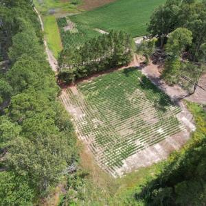 Photo #14 of Off Joyners Bridge Road, Carrsville, VA 71.6 acres