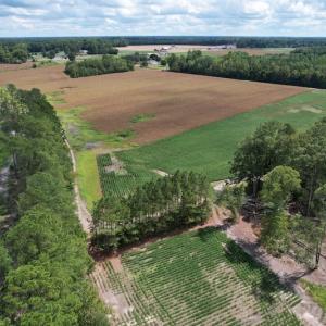 Photo #15 of Off Joyners Bridge Road, Carrsville, VA 71.6 acres