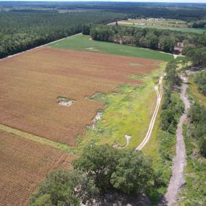 Photo #19 of Off Joyners Bridge Road, Carrsville, VA 71.6 acres